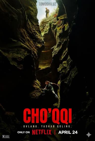 Cho'qqi